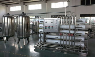 衛生級食品廠純凈水標準 10t/h雙級反滲透設備的全場景解析